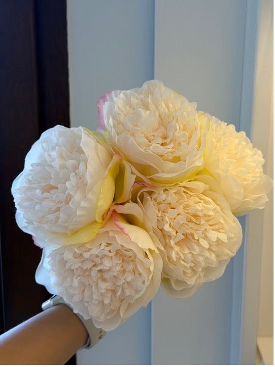 Kwiat piwonii szampan 5 sztuk