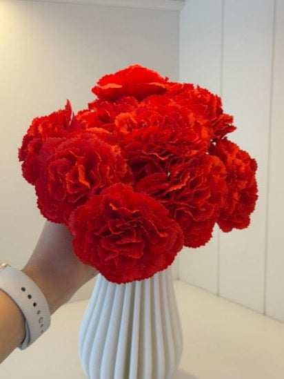 Goździki czerwone 8 sztuk